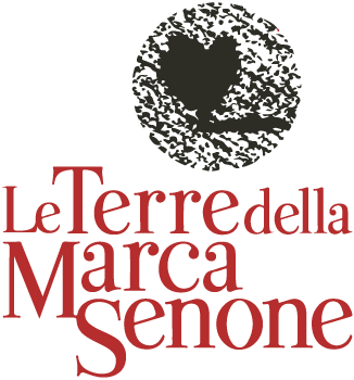 SELEZIONE PUBBLICA PER L'INDIVIDUAZIONE DIRIGENTE SERVIZI SOCIALI - COORDINATORE DI AMBITO - COSTITUZIONE DI UN RAPPORTO DI LAVORO A TEMPO DETERMINATO